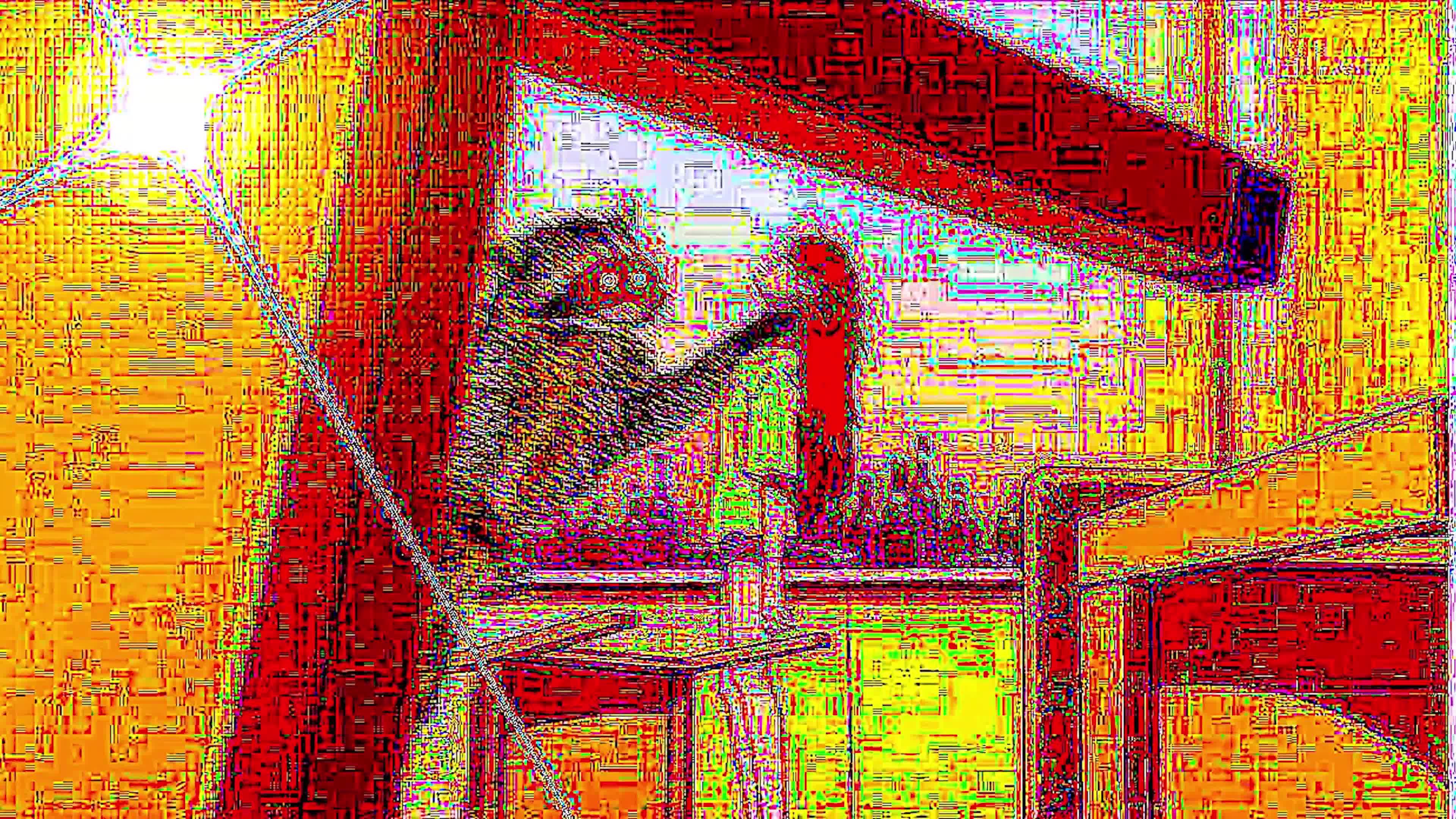 ðæð